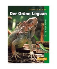 Grüne leguan terrarium gebraucht kaufen  Trebbin