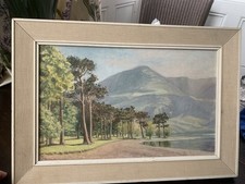 Buttermere pines lake for sale  BERWICK-UPON-TWEED