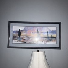 Adin shade framed for sale  Boykins