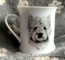 Beautiful china westie for sale  LLANFAIRFECHAN