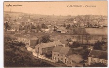 Postcard falisolle panorama d'occasion  Expédié en Belgium