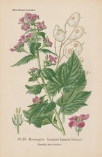 Silberblatt chromo lithographi gebraucht kaufen  Kassel