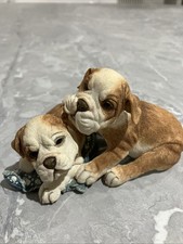 dog puppies for sale dog puppies for sale BIRMINGHAM