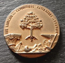 Rare médaille société d'occasion  Plémet