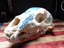 Genuine hand painted for sale  Saint Paul