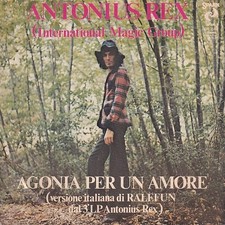 Antonius rex agonia usato Antonius rex agonia usato  Bassano del Grappa