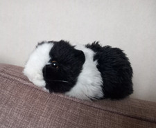 Living nature black for sale  COVENTRY