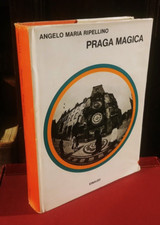 Angelo maria ripellino usato  Roma