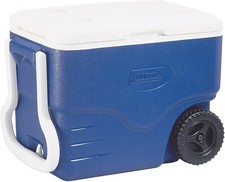 Coleman performance cooler usato  Italia