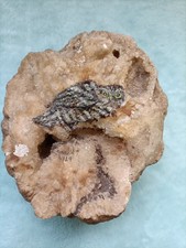 Mineral rock for sale  SHANKLIN