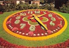 Geneve horloge fleurie d'occasion  France