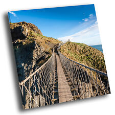 Carrick rede rope for sale  STRABANE