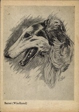 Künstler windhund barsoi gebraucht kaufen  Berlin