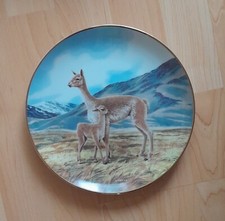 Vicuna collector plate for sale  ELLESMERE PORT