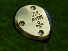 Goldwin avdp holz gebraucht kaufen  Korschenbroich