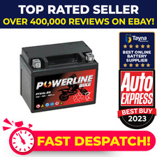 Powerline yt4lbs 12v for sale  UK