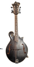Style mandolin luthier for sale  Oroville