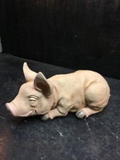 Sitting baby pig for sale  Mount Holly Springs