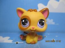 Petshop chaton 2414 d'occasion  Bailleul