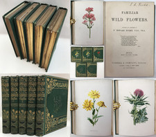 C.1890 hulme familiar for sale  CHICHESTER