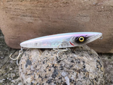 Fishus lurenzo espetit for sale  WESTON-SUPER-MARE