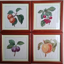 Fruit cross stitch for sale  PLYMOUTH