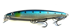 Rapala long casting gebraucht kaufen  Dortmund