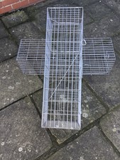 Live catch rabbit for sale  HULL
