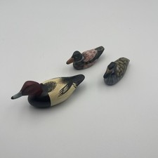 Ducks multi colors for sale  Washington