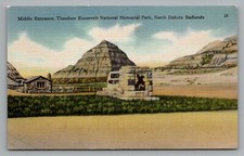 Postcard theodore roosevelt for sale  Okemos