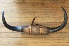 Hand mounted bull for sale  Portland