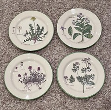 Williams sonoma culinary for sale  Des Moines