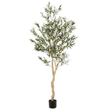 6ft faux olive for sale  Ashford