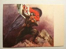 Reggimento fanteria lupi usato  Casalbuttano Ed Uniti