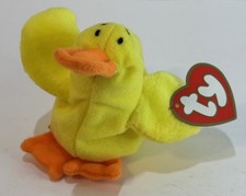 Teenie beanie babies for sale  Stillwater