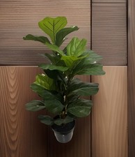 Luscious faux green for sale  Fort Lauderdale