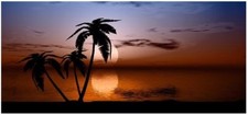 Gráfico de mural Tropical Sunset Camper RV motor home comprar usado  Enviando para Brazil