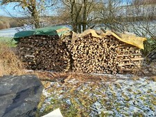 Brennholz buche eiche gebraucht kaufen  Neuhof