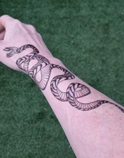 Large snake temporary for sale  UK