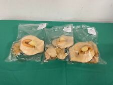 * LOTE DE 3* Membros e Coisas METI Exame Pélvico SIM Conjunto de Útero fibróide comprar usado  Enviando para Brazil