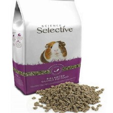 Selective guinea pig for sale  TONBRIDGE