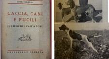Luigi ugolini caccia usato  Treviso