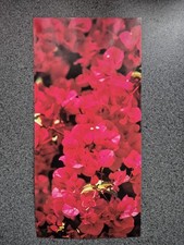 Greek postcard pink for sale  BUDE