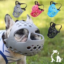 Dog short snout for sale  UK