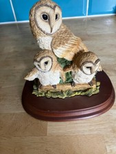 Leonardo family owls for sale  KETTERING