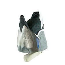 Cupped waterfowl cu8703 for sale  Wheeling