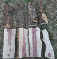 Red cedar live for sale  Oklahoma City