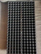 200 cell seedling for sale  Laramie