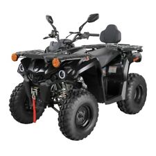 Quad atv mikilon gebraucht kaufen  Ammerthal