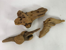 Natural driftwood reptile for sale  Isanti